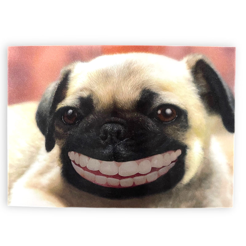 Smiling Pug 3-D Postcard