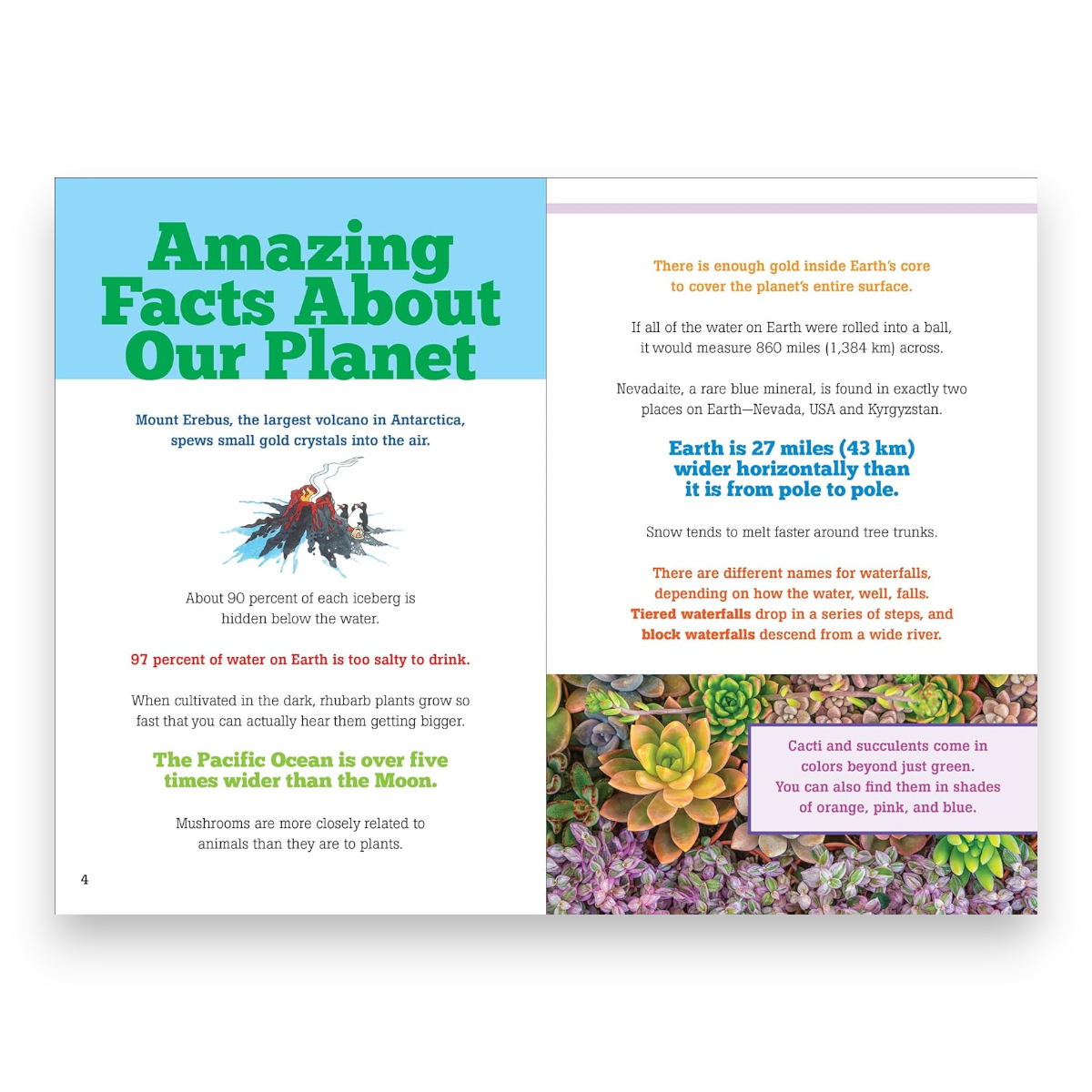 The Big Book of Useless Facts - Bee Bee Designs