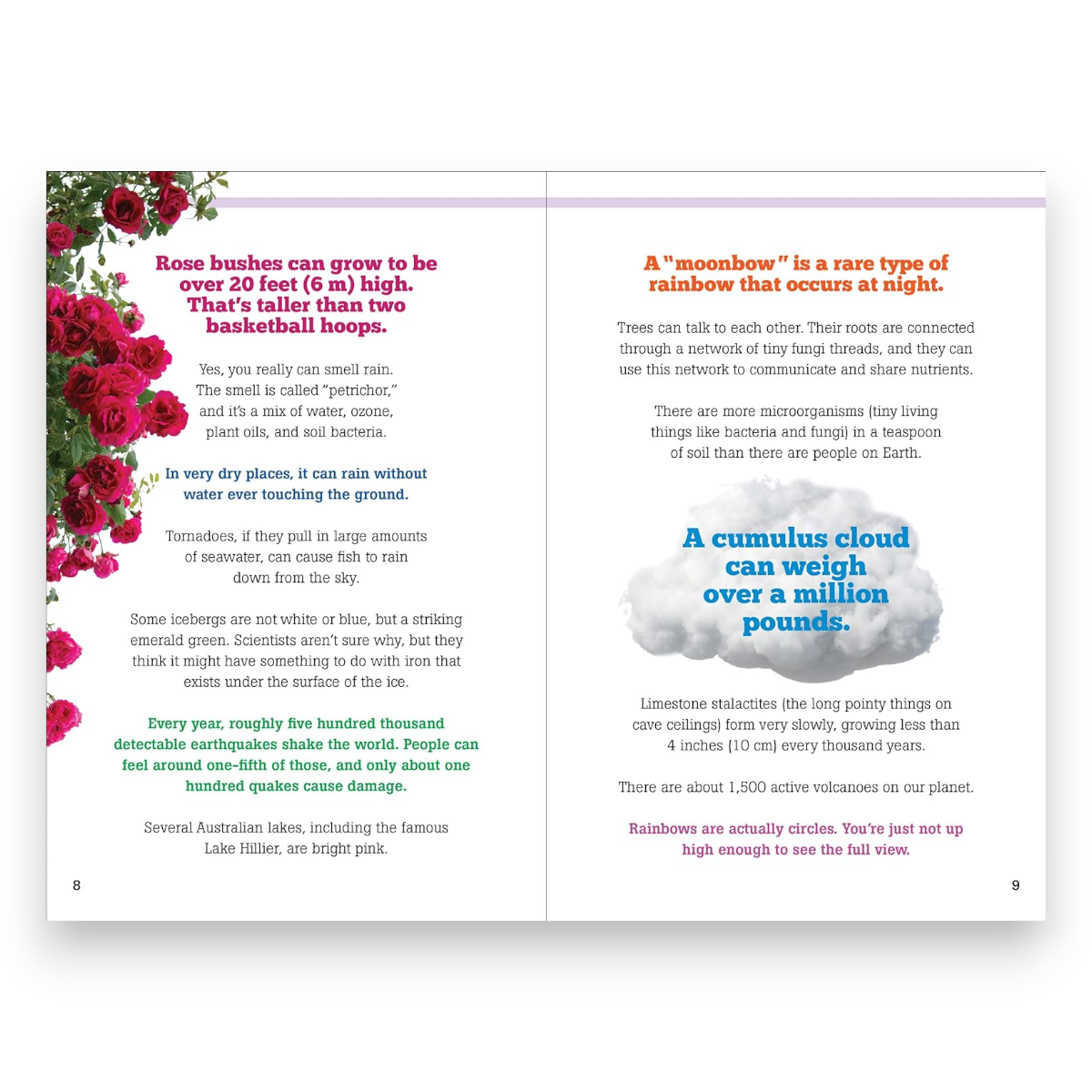 The Big Book of Useless Facts - Bee Bee Designs