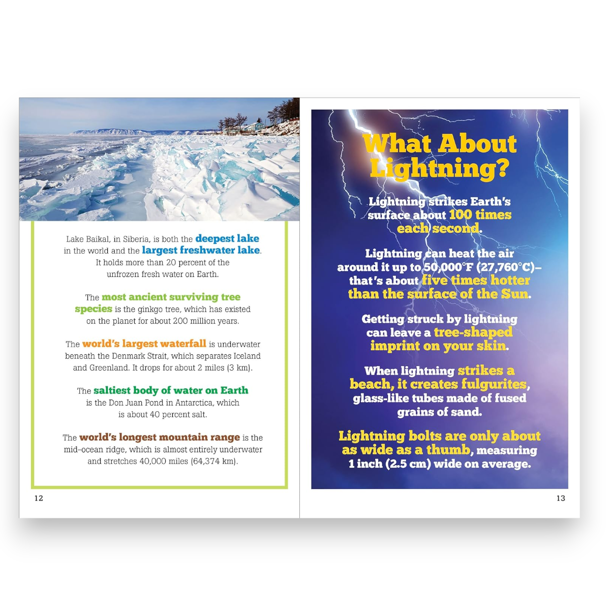The Big Book of Useless Facts - Bee Bee Designs
