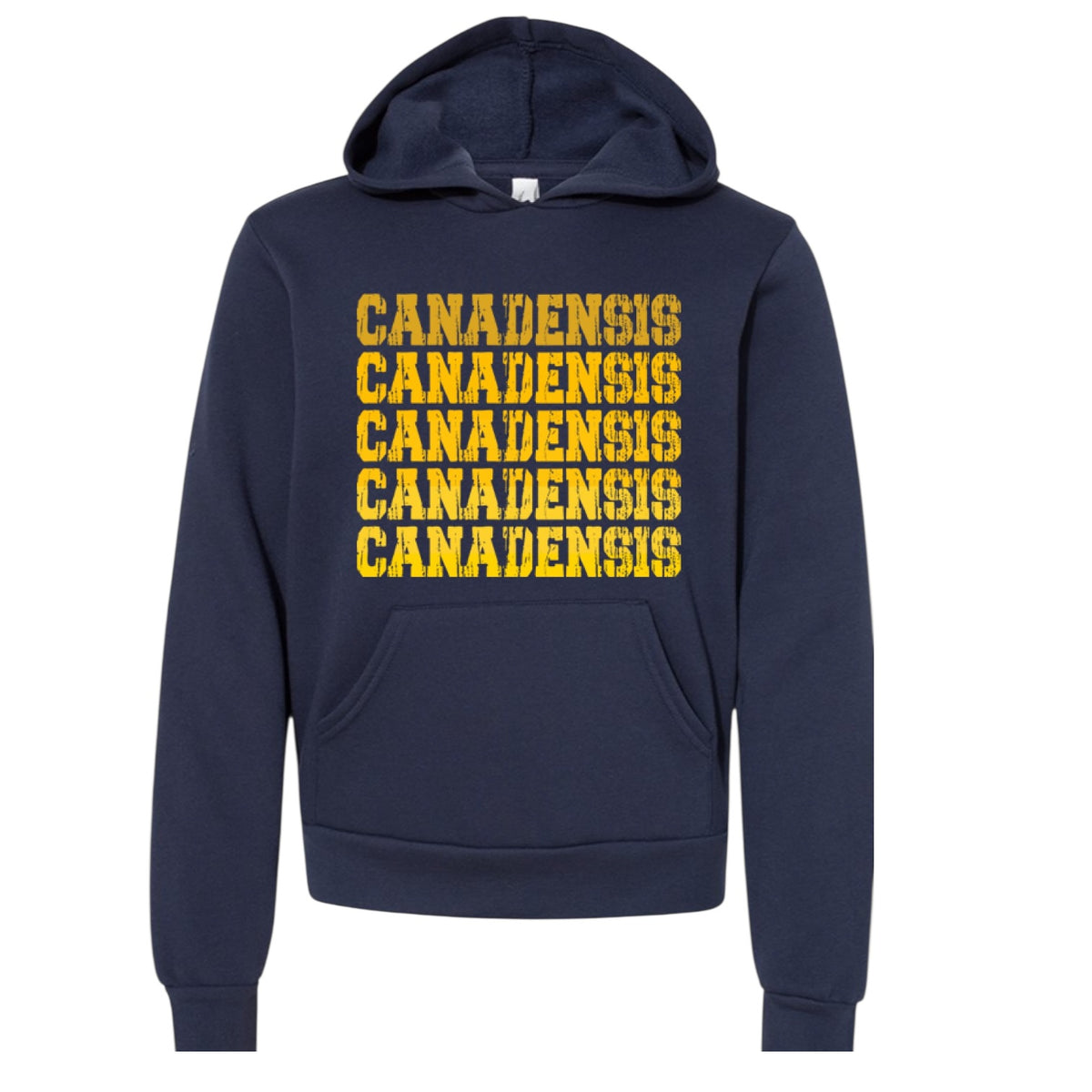 Camp Vintage Fadeout Hoodie