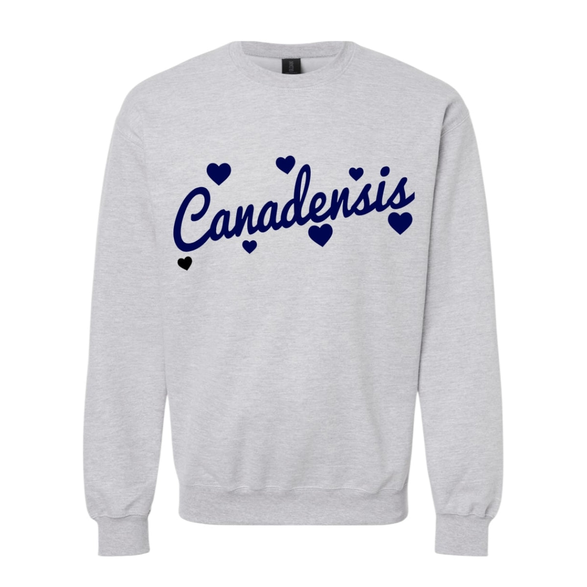 Floating Hearts Crewneck - Bee Bee Designs