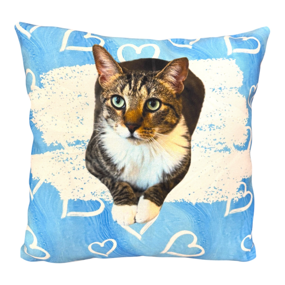 Blue painted hearts personalized photo pillow showing tabby cat with green eyes on cream splatter background with white heart designs