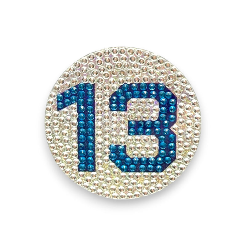 13 Swiftie Stickerbean