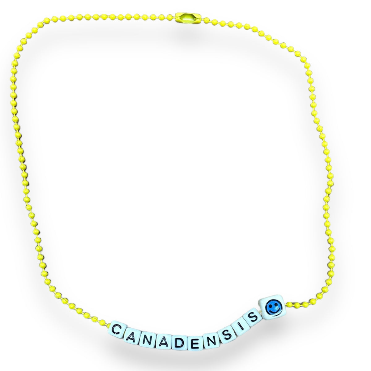 Smiley Camp Color Ball Chain Necklace - Bee Bee Designs