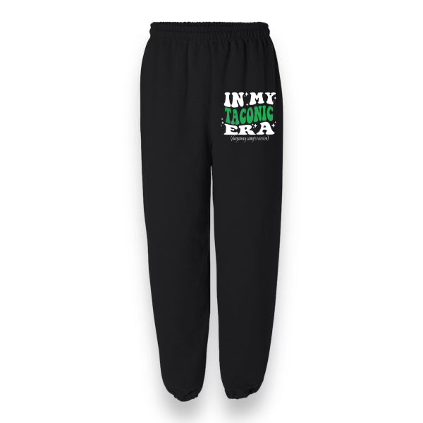 TS Eras Sweatpants - Bee Bee Designs