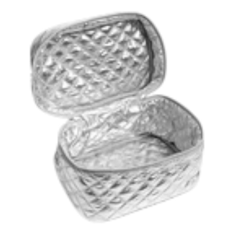 Silver Travel Cosmetic Case