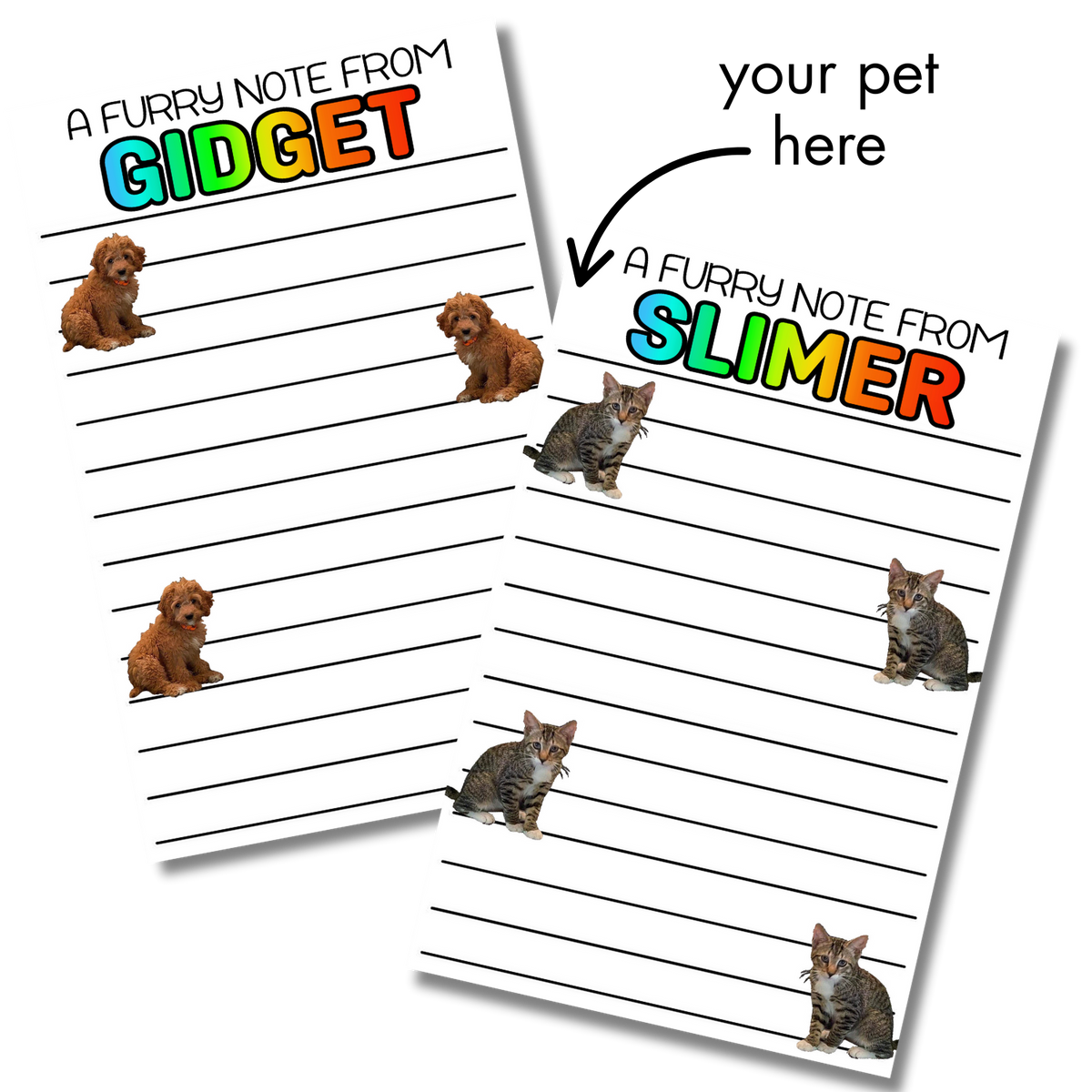 Custom Pet Notecards – custom pet camp notecards (8 cards + 8 envelopes) for sleepaway/overnight camp by Bee Bee Designs