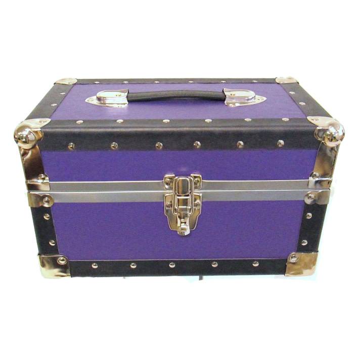 Solid Color Mini Trunk