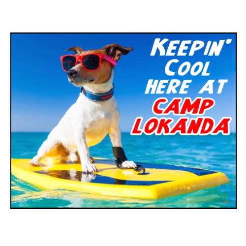 Surfs Up Dog Notecards