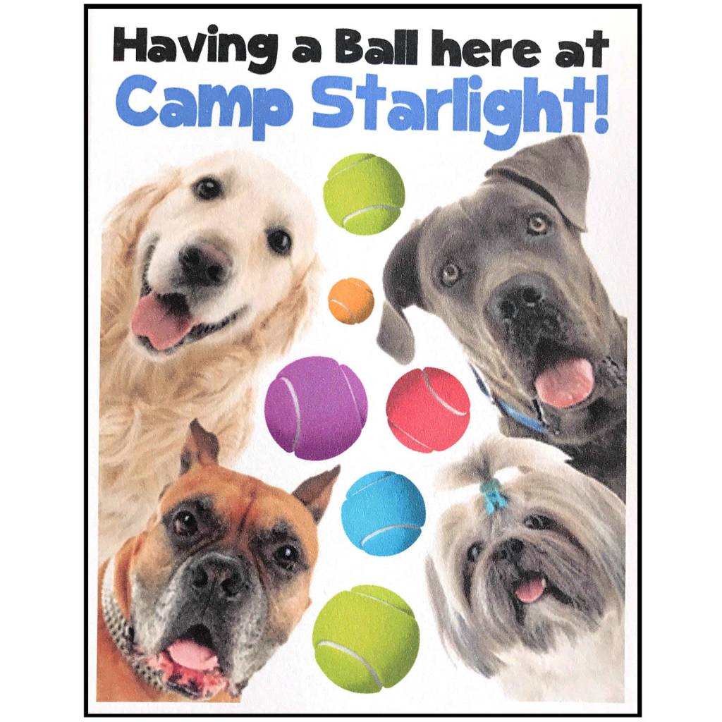 Dogs and Balls Notecards Camp Notecards – letters FROM camp notecards (8 cards + 8 envelopes) for sleepaway/overnight camp by Bee Bee Designs