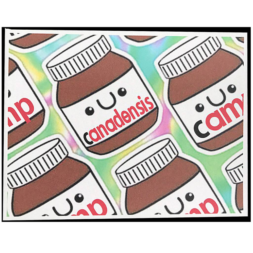 Nutella Notecards Camp Notecards – letters FROM camp notecards (8 cards + 8 envelopes) for sleepaway/overnight camp by Bee Bee Designs