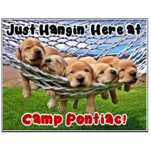 Dogs Hangin' Notecards Camp Notecards – letters FROM camp notecards (8 cards + 8 envelopes) for sleepaway/overnight camp by Bee Bee Designs
