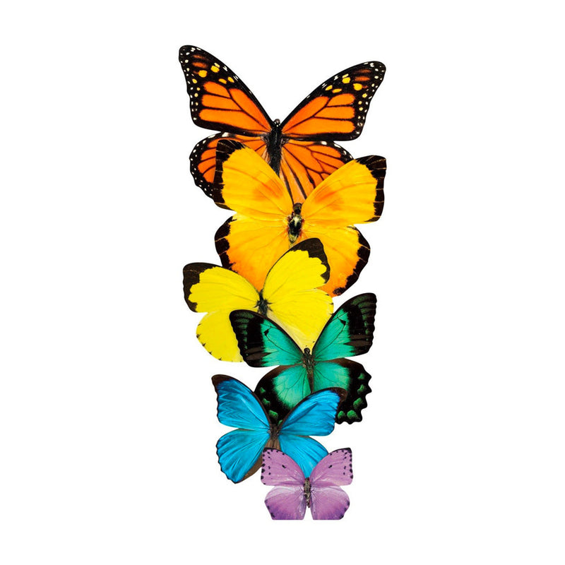 Row of Butterflies Card