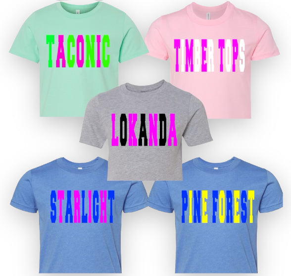 Alternating Font Cropped Tee - Bee Bee Designs