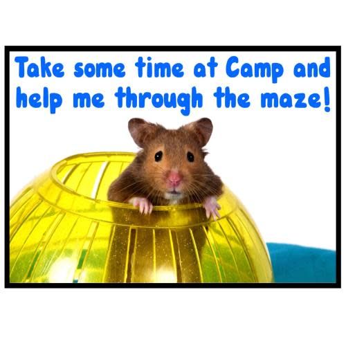 Hamster Maze Camp Card - Bee Bee Designs