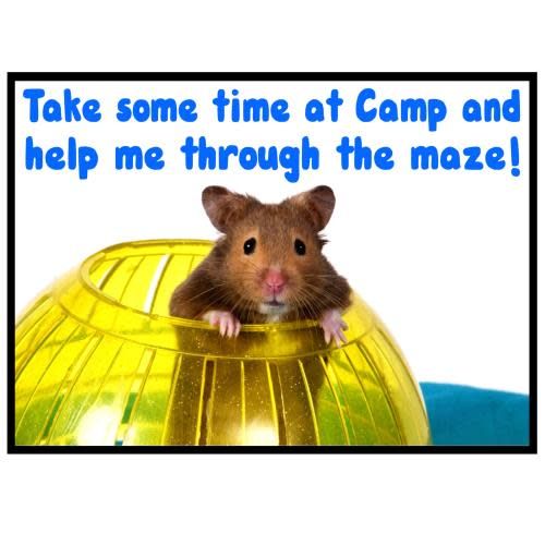 Hamster Maze Camp Card