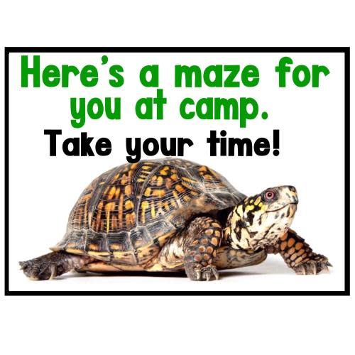 Turtle Maze Camp Card